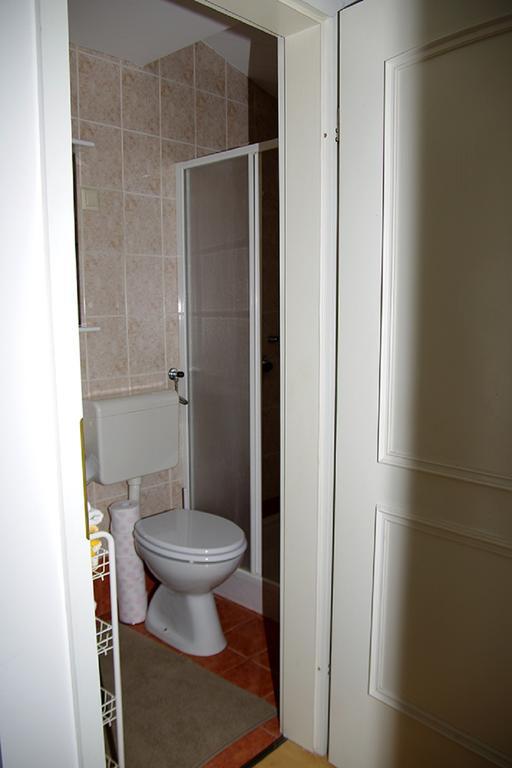 Zupan Apartment Maribor